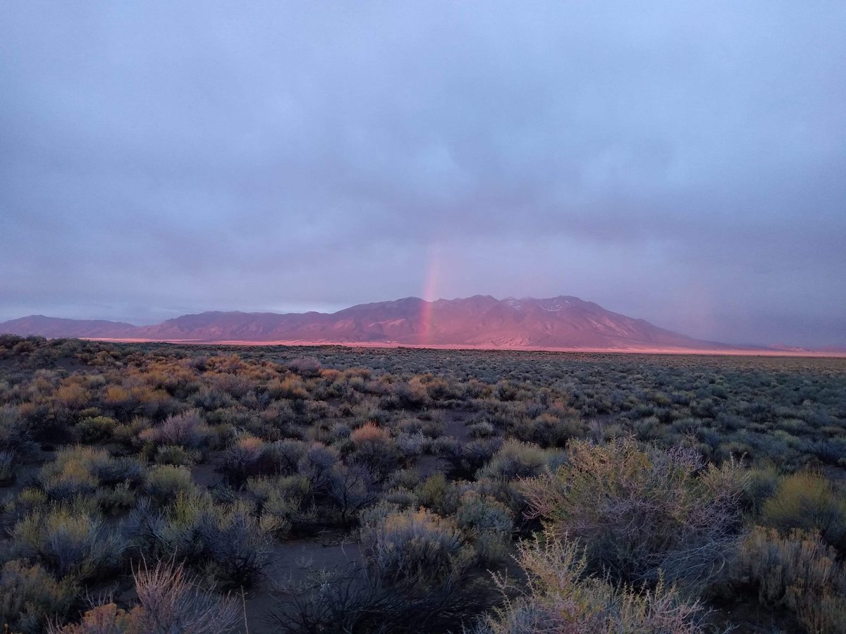 threeJnK's tweet photo. Happy #ColoradoDay get out and explore this spectular state!  Tundra @RockyNPS  , rainbow over Mt. Blanca @visitalamosa, Chatfield Lake, Fourth of July trail     #Explore #hike  #Colorado #livelife https://t.co/L4FFEa7fUU