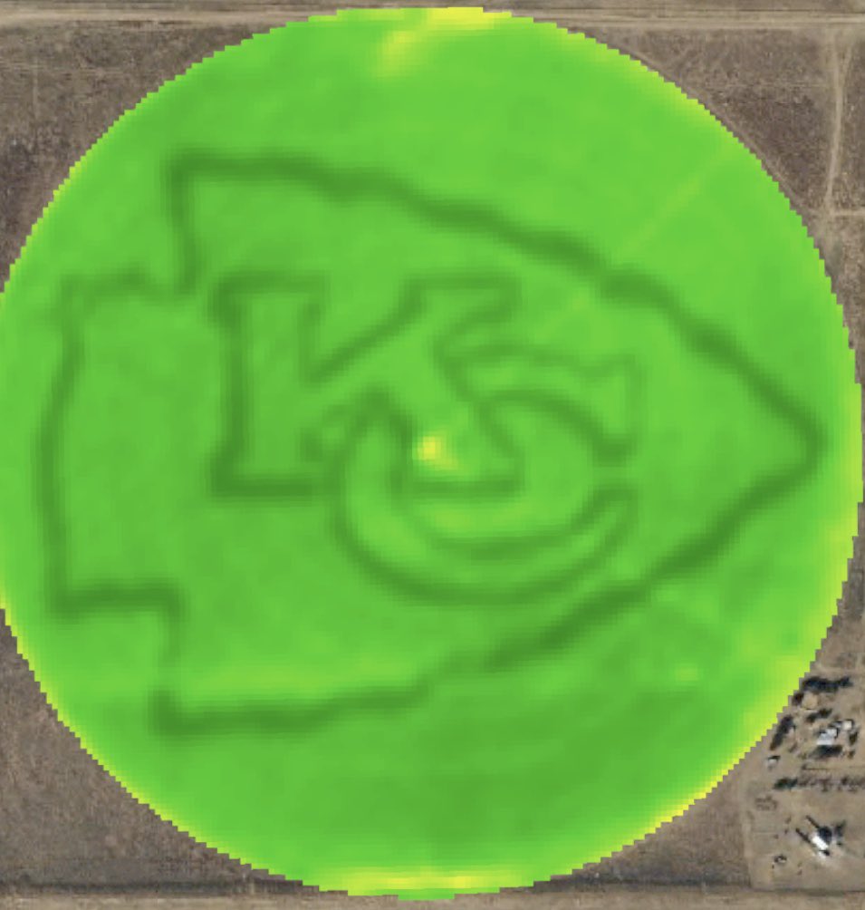 Rocky Ormiston tweet media