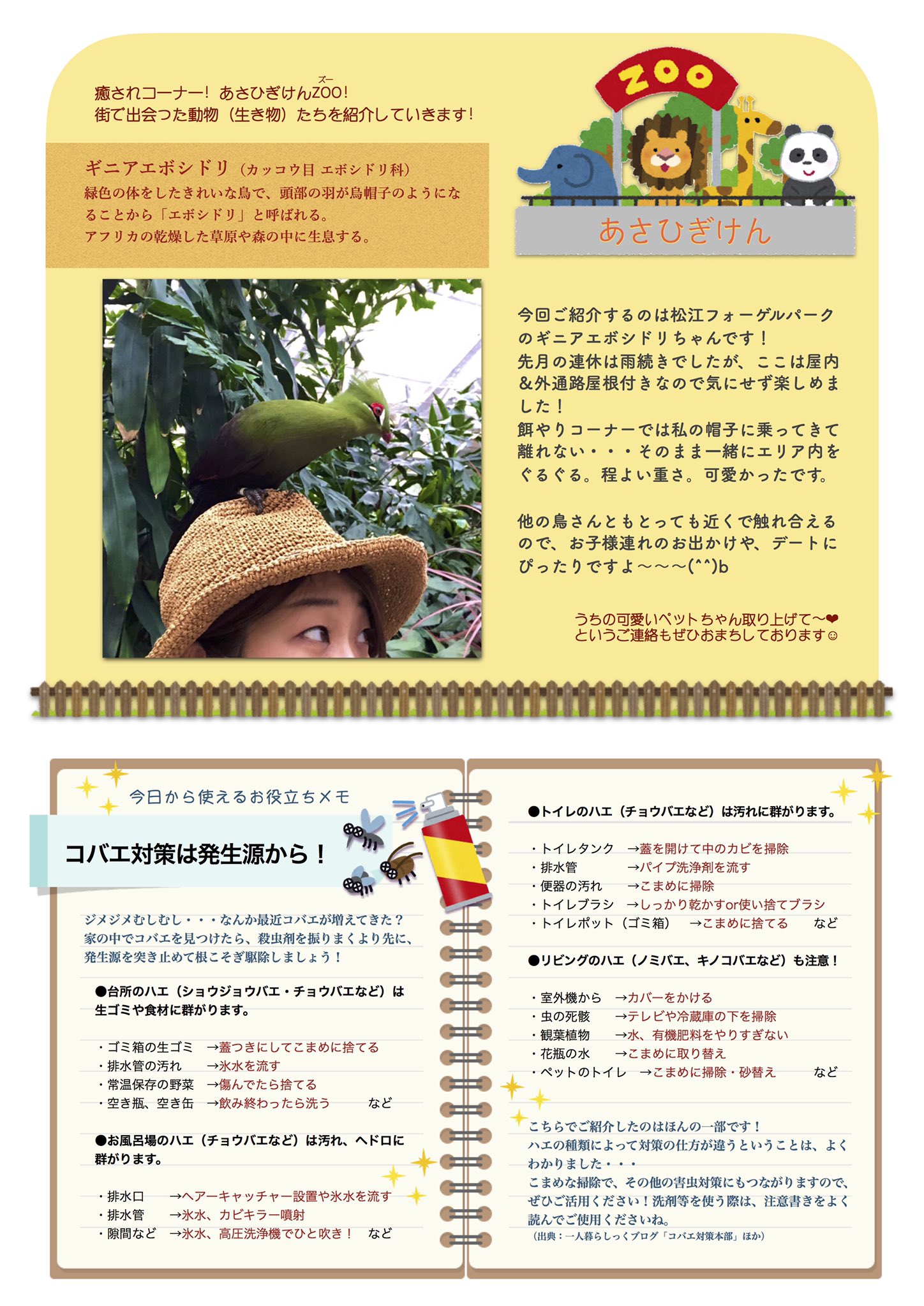 ハエ退治 Twitter Search Twitter