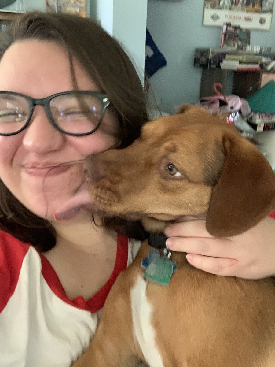 Katelyn_Rowe_'s tweet photo. My best boy Wright turned one today  🎉🎉 He waited to even look at his birthday treat until I told him he could eat it because he is very good https://t.co/qQ5ytw0sQh