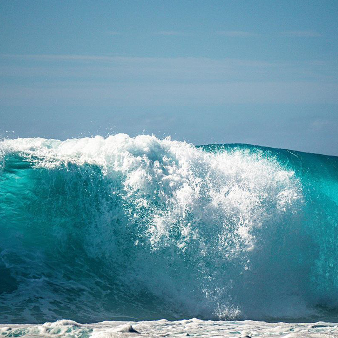wildplanetfoods's tweet photo. Let’s preserve the natural beauty and wild abundance of the oceans for generations to come. 📷: @african3xplorer https://t.co/Njd7ArmYoT