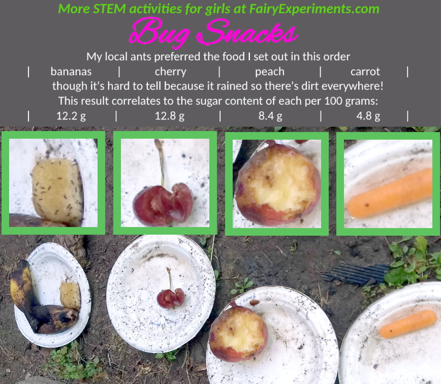 FairyExperiment's tweet image. 🐛🧚🏽♀️🐞🧚🏼♂️🐝
We're looking at the Bug Snacks experiment on this #ScienceSaturday 
#entomology
#scienceexperimentsforkids
#activitiesforkids
#activitiesathome
#kidactivities
#scienceexperimentsforgirls
#activitiesforgirls
#girls
#fairyexperiments
#tnts
#fairymessy
#scienceismagical
