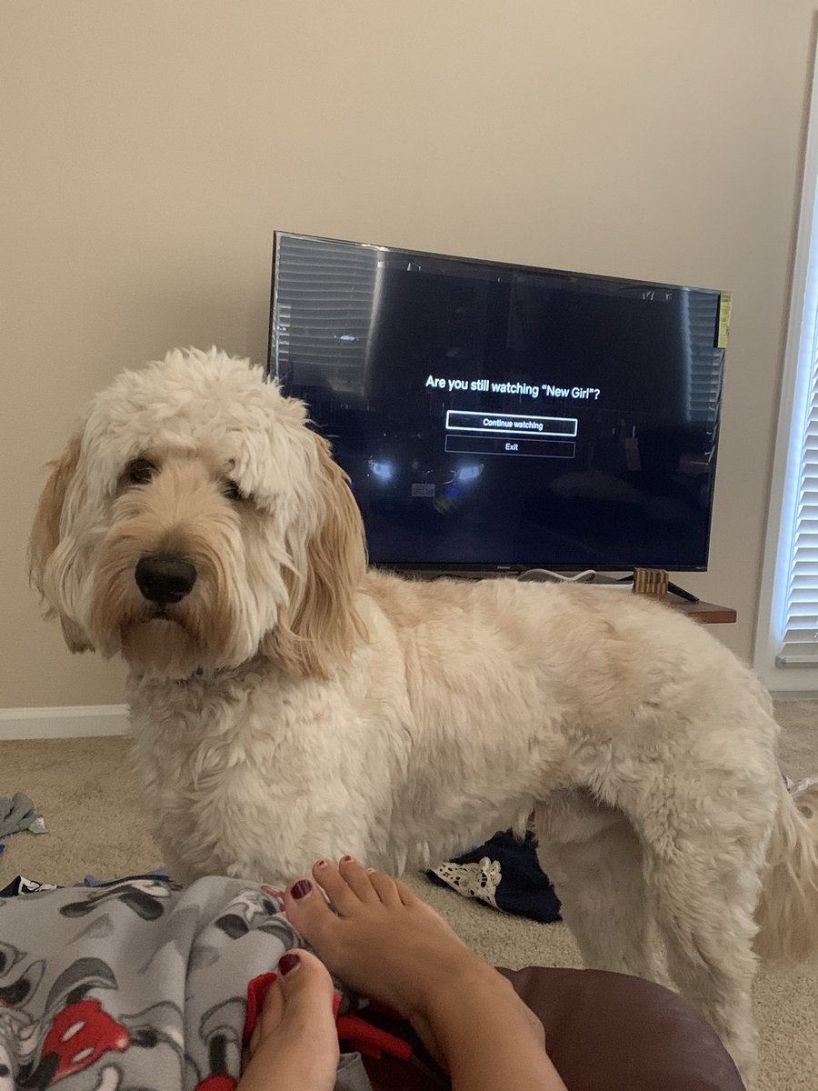 maggie_mae40's tweet photo. *4th time netflix has called me out today. Sooo happy Saturday💁🏽‍♀️😅 https://t.co/fiEYmmjr0k