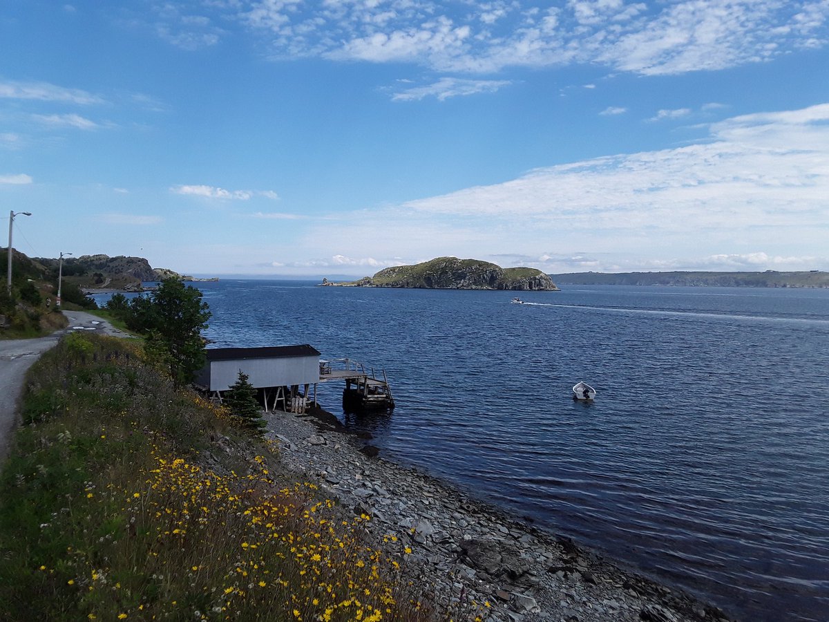 Beautiful afternoon on the Shoreline  walking trail <a href="/Town_BayRoberts/">Town of Bay Roberts</a> <a href="/LegendaryCoasts/">Legendary Coasts</a> #stayhomeyear2020 #ExploreNL #hikenl