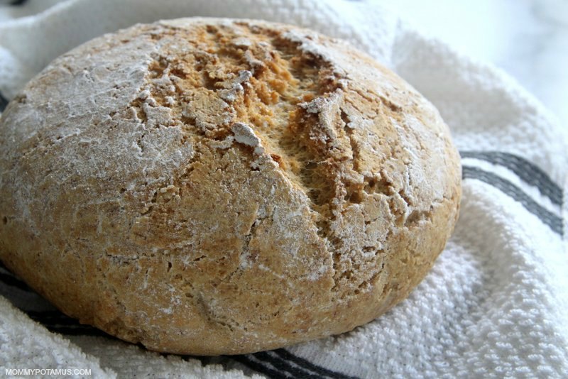 mommypotamus's tweet photo. This gluten-free artisan bread has a golden, crusty outside and a soft, airy inside with a sourdough-style flavor. It's easy to make, too! #diybread

How To Make Gluten-Free Artisan Bread (Boule Bread)

https://t.co/Tf7fMZHPaR https://t.co/sSPNK5nkbR