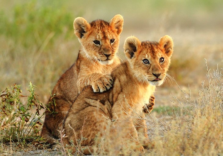 KLovesNature's tweet photo. Wherever there is a human being, there is an opportunity for kindness. https://t.co/QsnofVPfin
