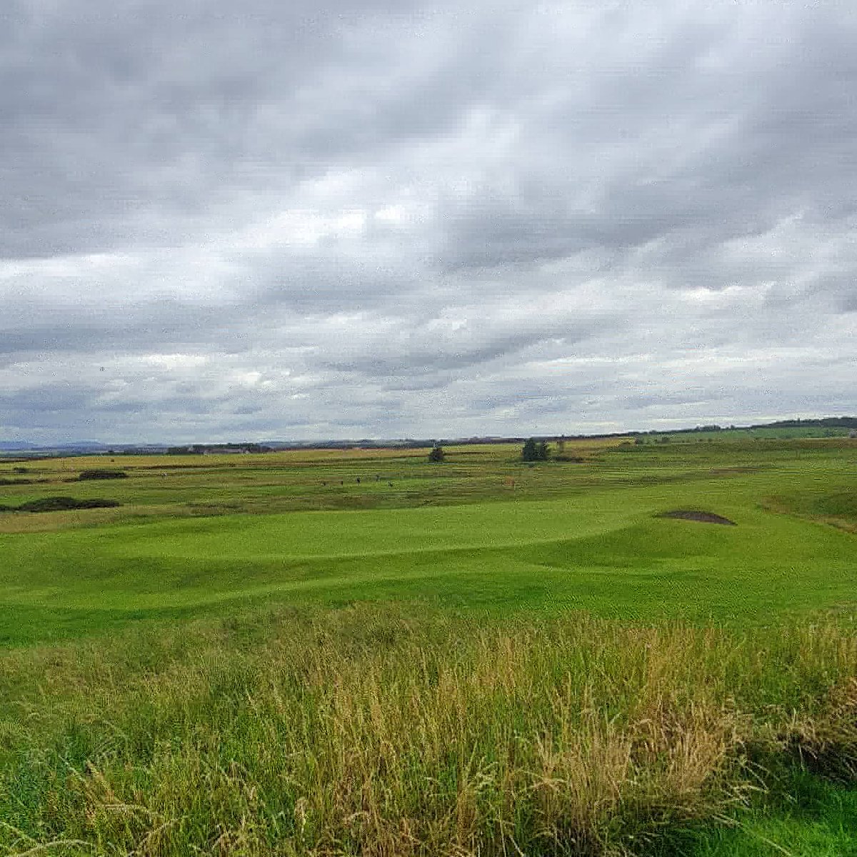 LiamRidgill's tweet photo. What an absolutely amazing golf course! π€©ποΈβ³ @GoswickGolfClub #Goswick #Nothumberland #Golf #GolfCourse #NorthSea https://t.co/HqHX2OGUjV