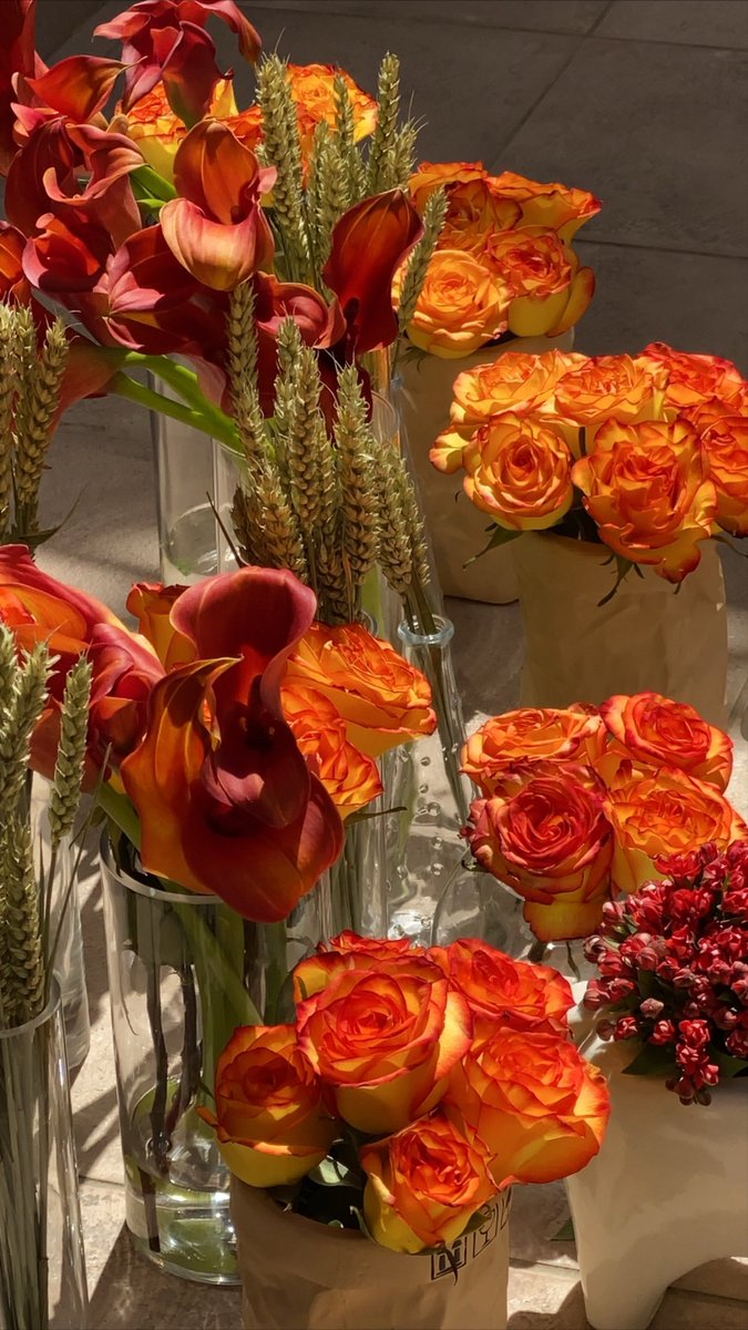 galmutairi_'s tweet photo. Mama: Ghalia aby ward orange 
Me: K Bet https://t.co/1oAprMq6nw