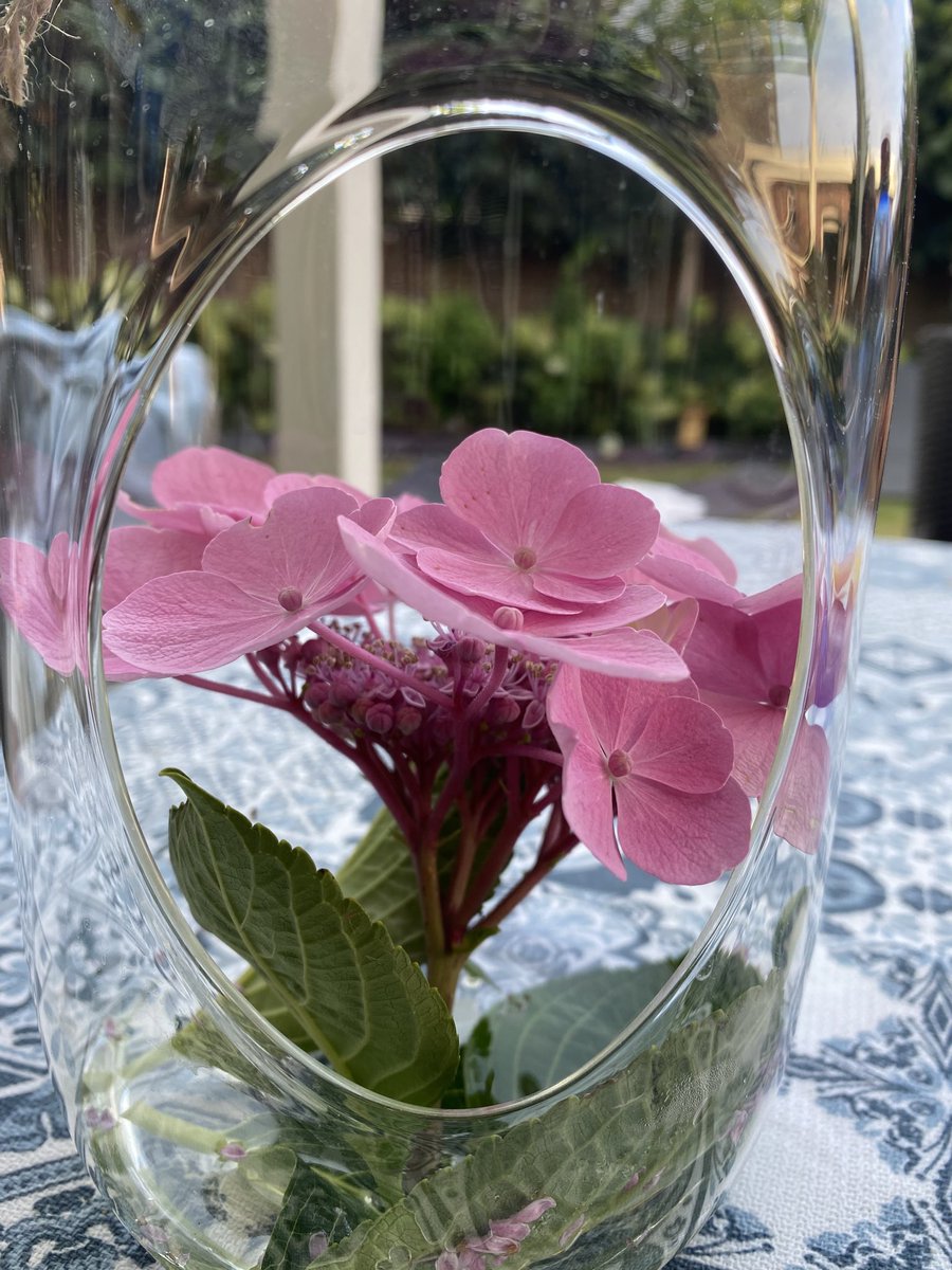 Dag 6/7 #mylifeinpictures genomineerd door ⁦<a href="/Averv1/">a. verveen</a>⁩ <a href="/bijna/">Hilde Otter</a> afgelopen