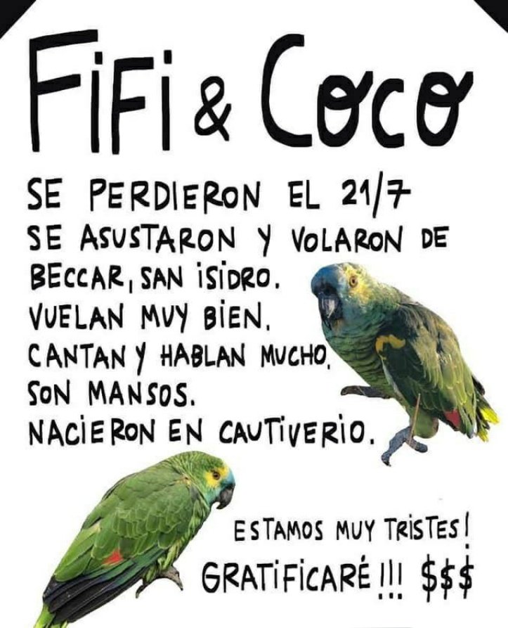 FedeOrgam's tweet photo. Okay.....
#MudaQuede #FifiAndCoco #DiaDeLaPachamama
Tengo muchas dudas, y pocas certezas, pero CÓMO MIERDA LOS ATRAPAS?! #Juerte https://t.co/SZf1uLe3Bm