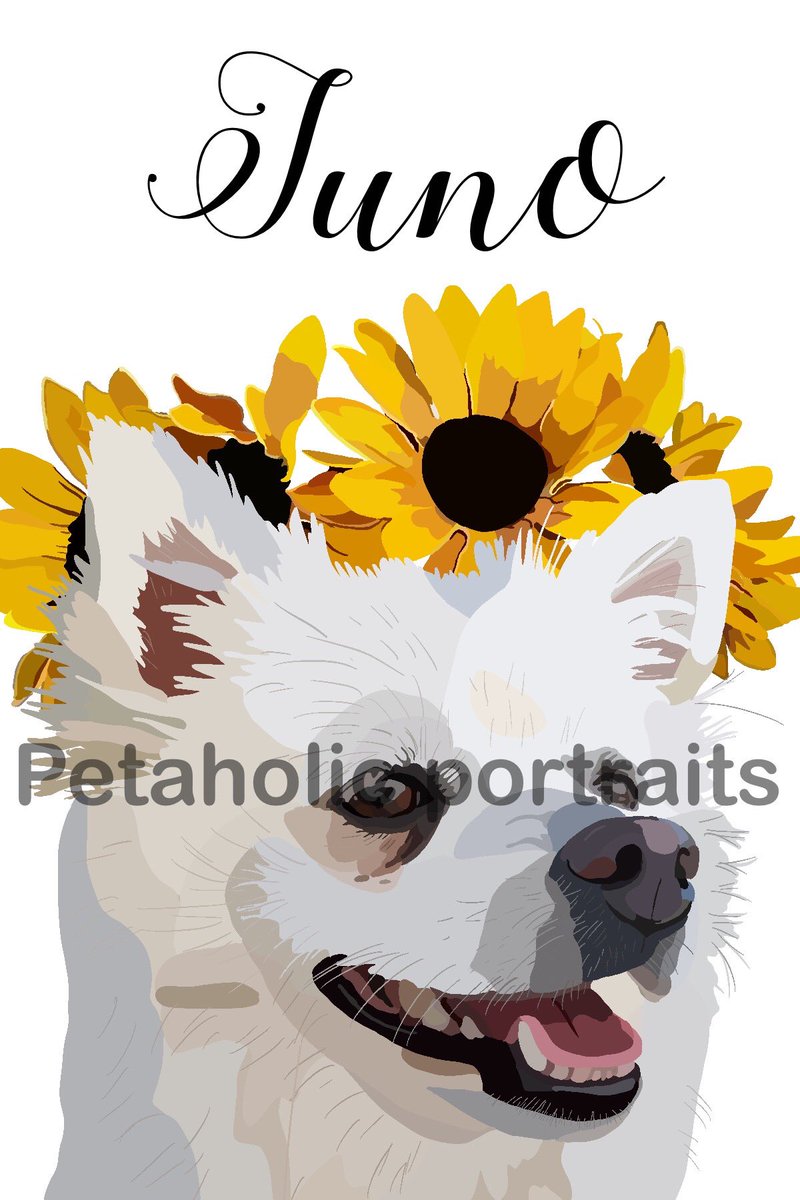 BabyP33897273's tweet photo. GIVEAWAY TIMEEEE!!💕

Winner will receive:

🐾 a custom digital pet portrait
🐾 a 5x7 print copy of the portrait
🐾 extra goodies!

To enter:

💕 follow me
💕 retweet this post
💕 tag 2 friends 

Giveaway ends 08/05!!! https://t.co/BQ8BEbyNeT