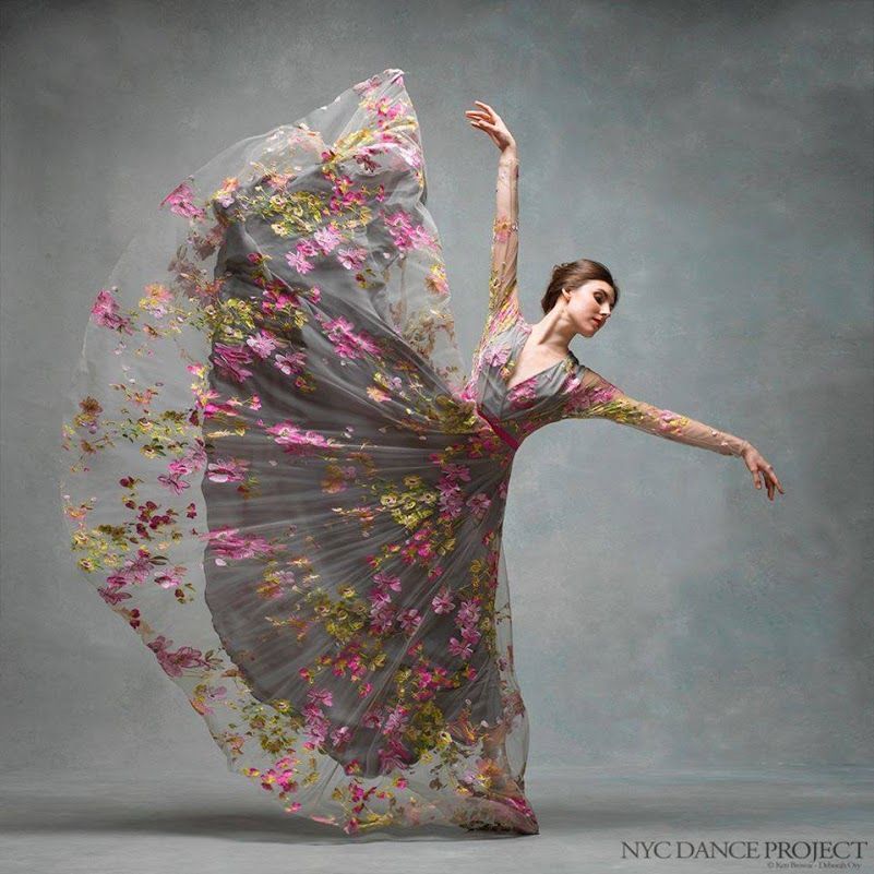 noveliciouss tweet picture