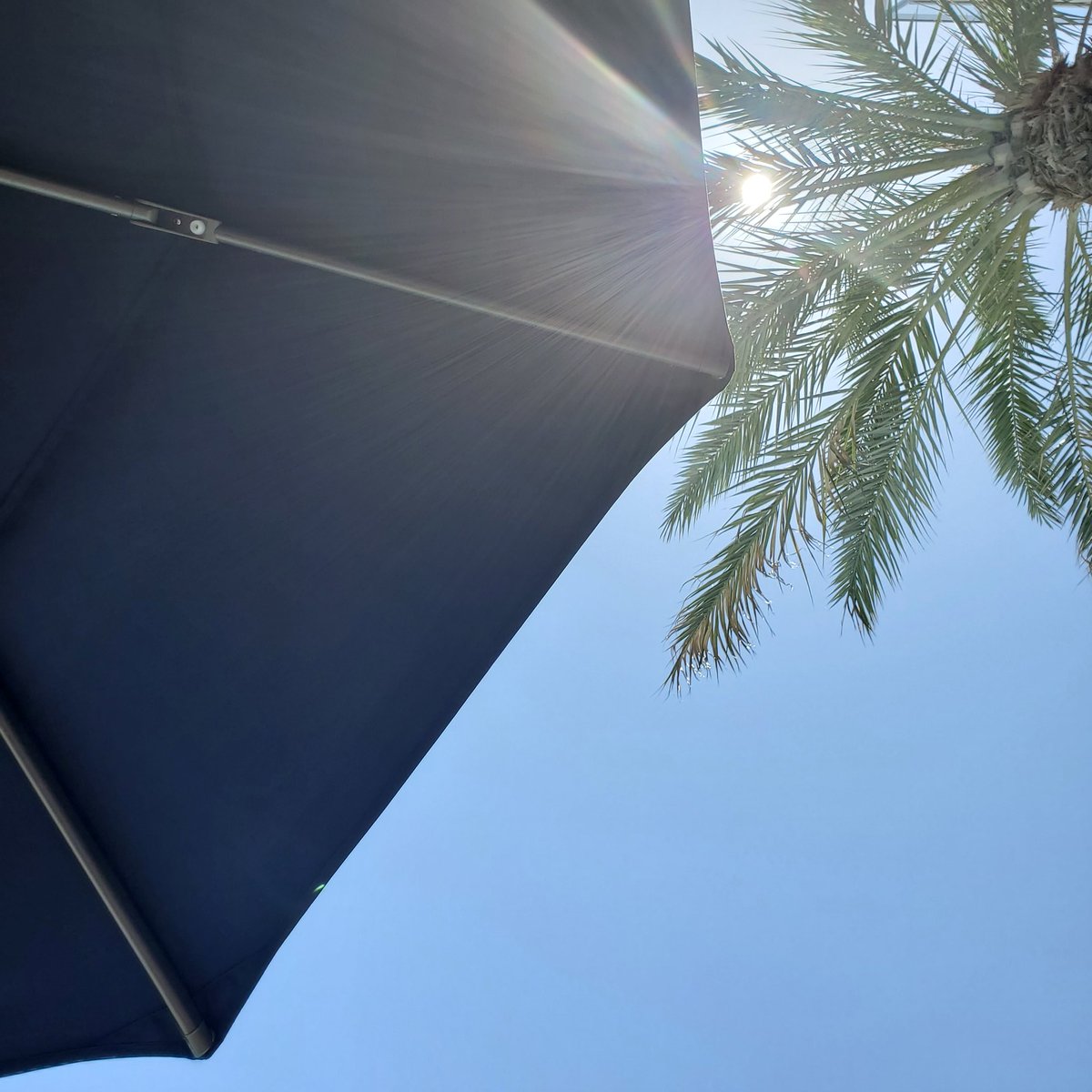 KimTaeBaehby's tweet photo. Now that is a view #socal #bikiniday #poollife #plusgirl https://t.co/nCxlyQVVUa