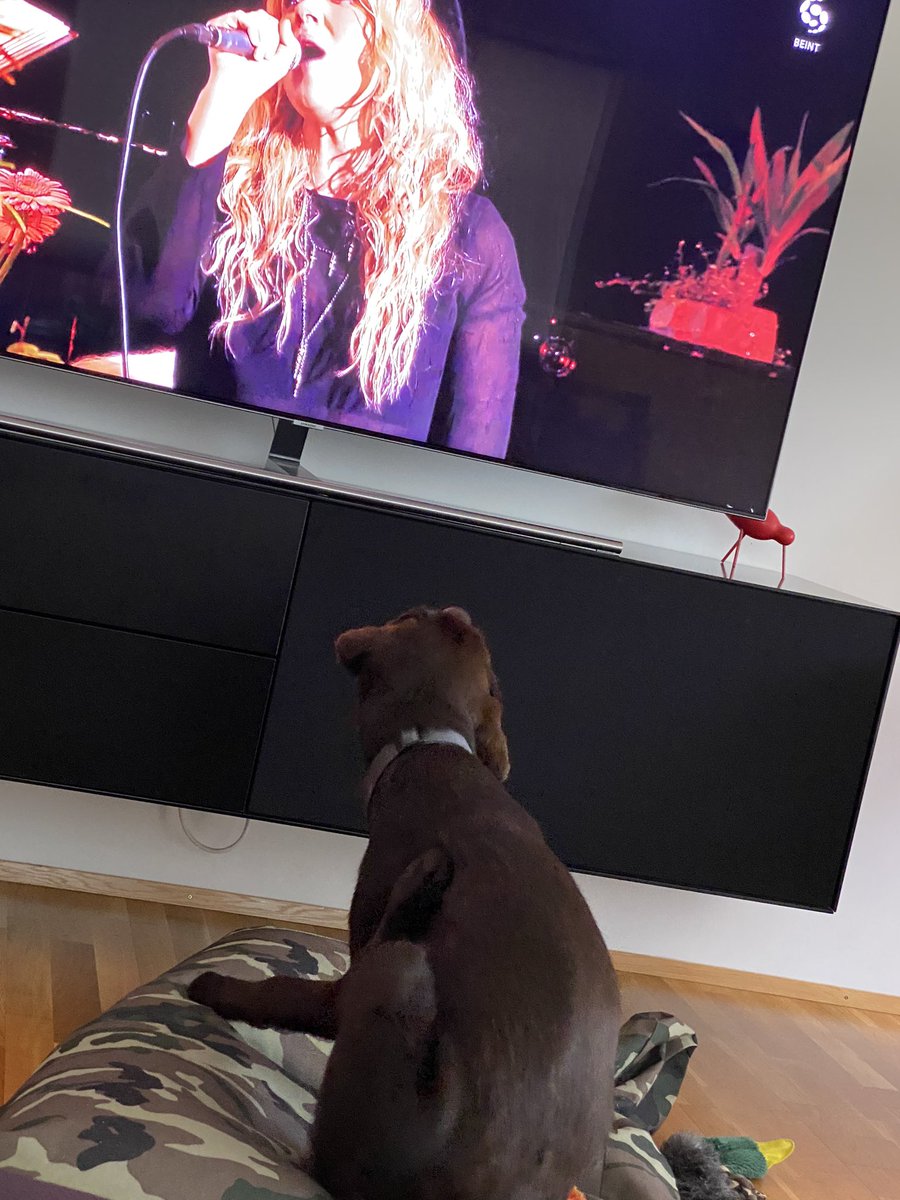 Kappi fílar Helga @ Sölku ! Horfir og dansar. #heimamedhelga