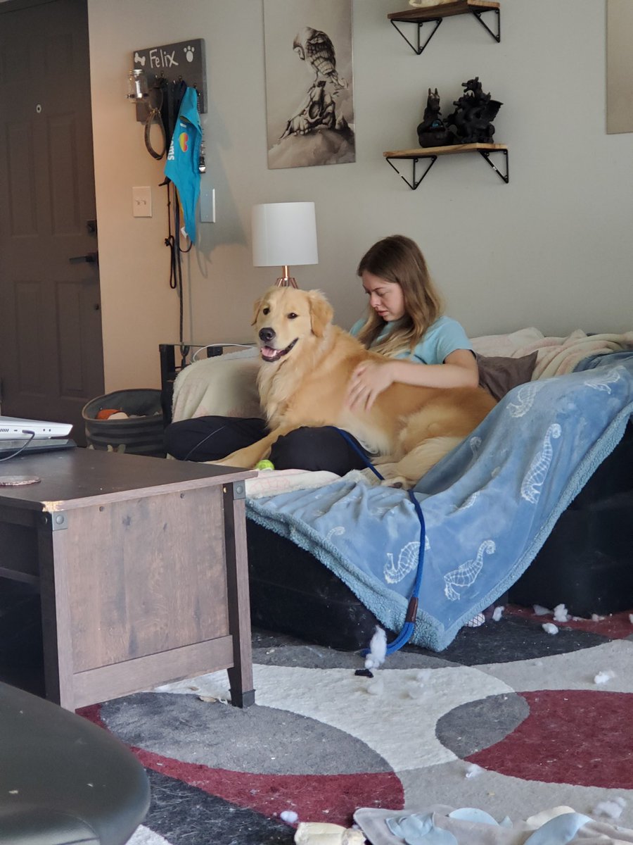 27walto's tweet photo. Happy #NationalGirlfriendDay to the mother of all of my fur-, scale-, and urticating hair-children ❤️ @zonarobbns https://t.co/LW6hMPJaCW