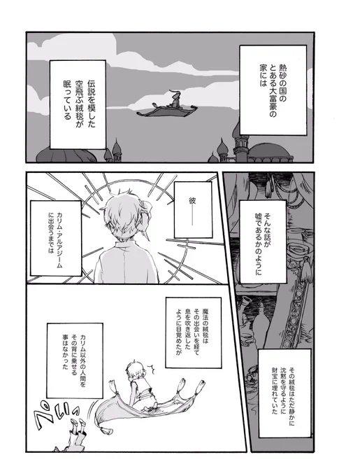 カリムの言う事しか
聴かなかった魔法の絨毯と少年達の話(カリジャミ)1/2
#twst_BL

※過去の捏造しかない
※ほぼジャミル
※なんでも許せる人向け
※描きたいとこだけ描いた
※続きはリプ欄 