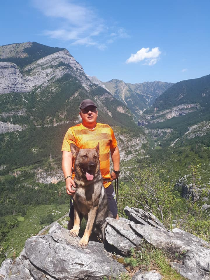 AdoptaK's tweet photo. Chico, para huir del calor, ha estado de paseo por el fresco y milenario bosque de Turieto en el Parque Nacional de Ordesa ⛰🐕
Así nos gusta, que disfrutes tu jubilación a tope😊😊😊😊
#Chico2
#GuardiaCivil https://t.co/st94fAN7xr