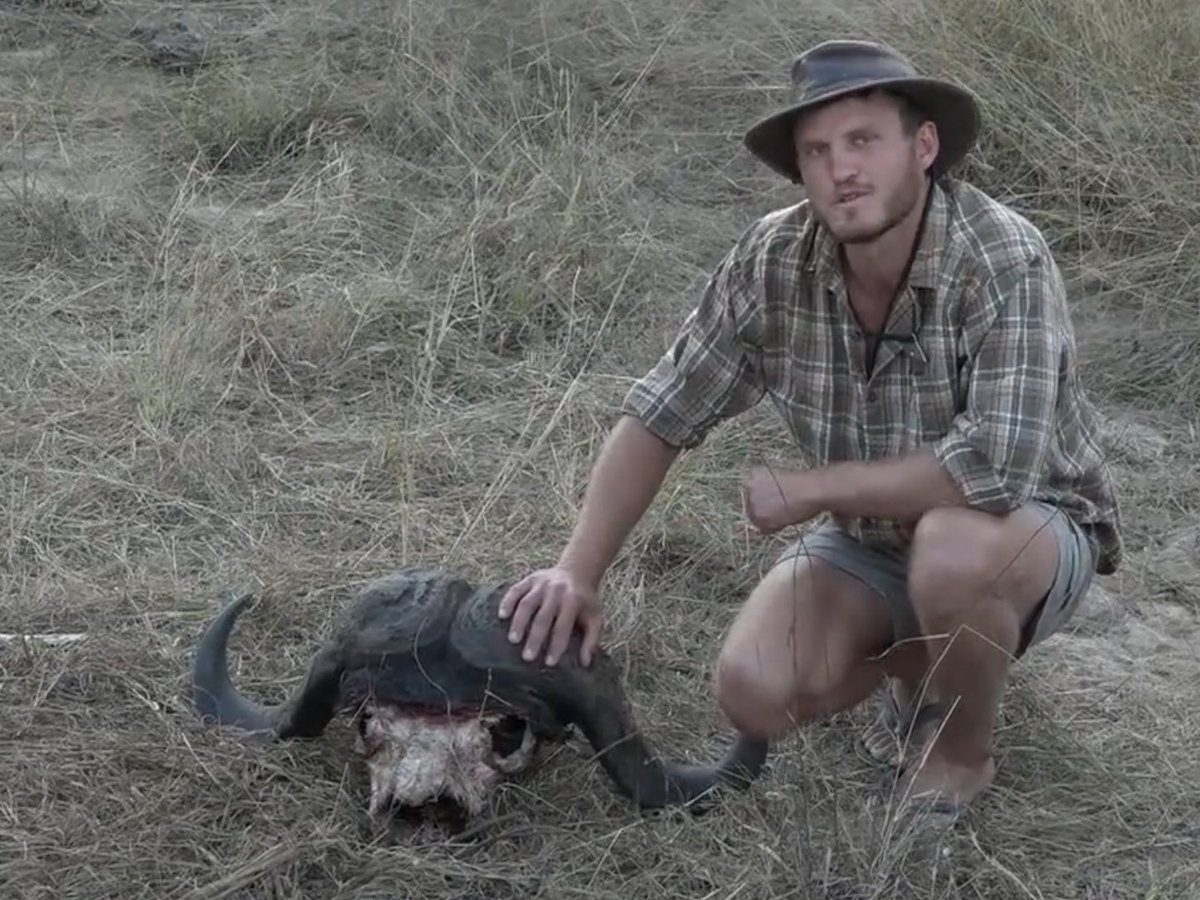 Safarilover79's tweet photo. David showing us the remains of the nkuhuma buffalo kill #wildearth #safarilive https://t.co/PpQBW5tiez