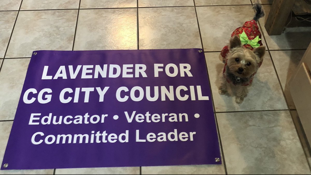 lavenderjeff's tweet photo. The Bella says don’t forget to vote by Tuesday. She is also supporting @MikeCruzMBA @craigermcf @DonnaMcBrideaz and Lisa Fitzgibbons. #BellaRules https://t.co/U2HotFINEa