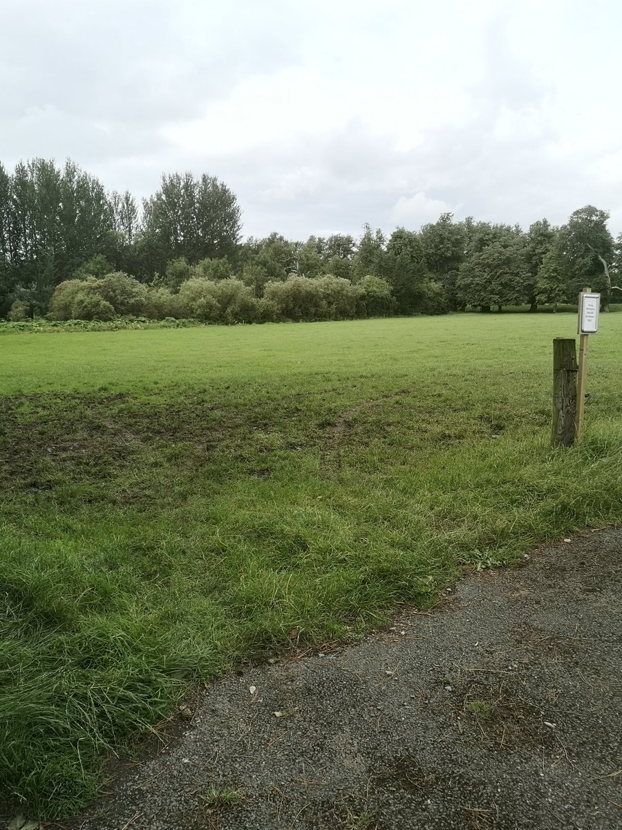 john_trant's tweet image. Takes a certain type bollix to drive through two springers, nearly get stuck, reverse into the electric fence breaking the wire, head off playing of round of golf and leave without telling anyone. While the 85 calfs in the paddock wonder if they want to head into Clane.
