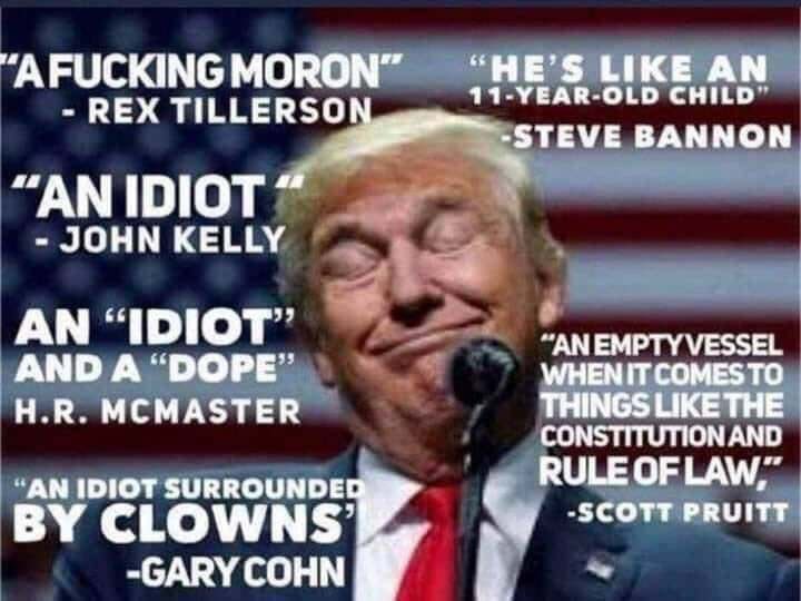 mariana057's tweet photo. @sarahcpr He’s the very best at failing https://t.co/L58iZnH5Jb