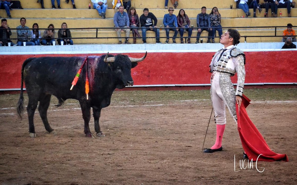 Que bendición es poder serlo, ¡Feliz día del novillero! 
.
.
.
📸: @luciaguerraf 
#DiegoGarmendia