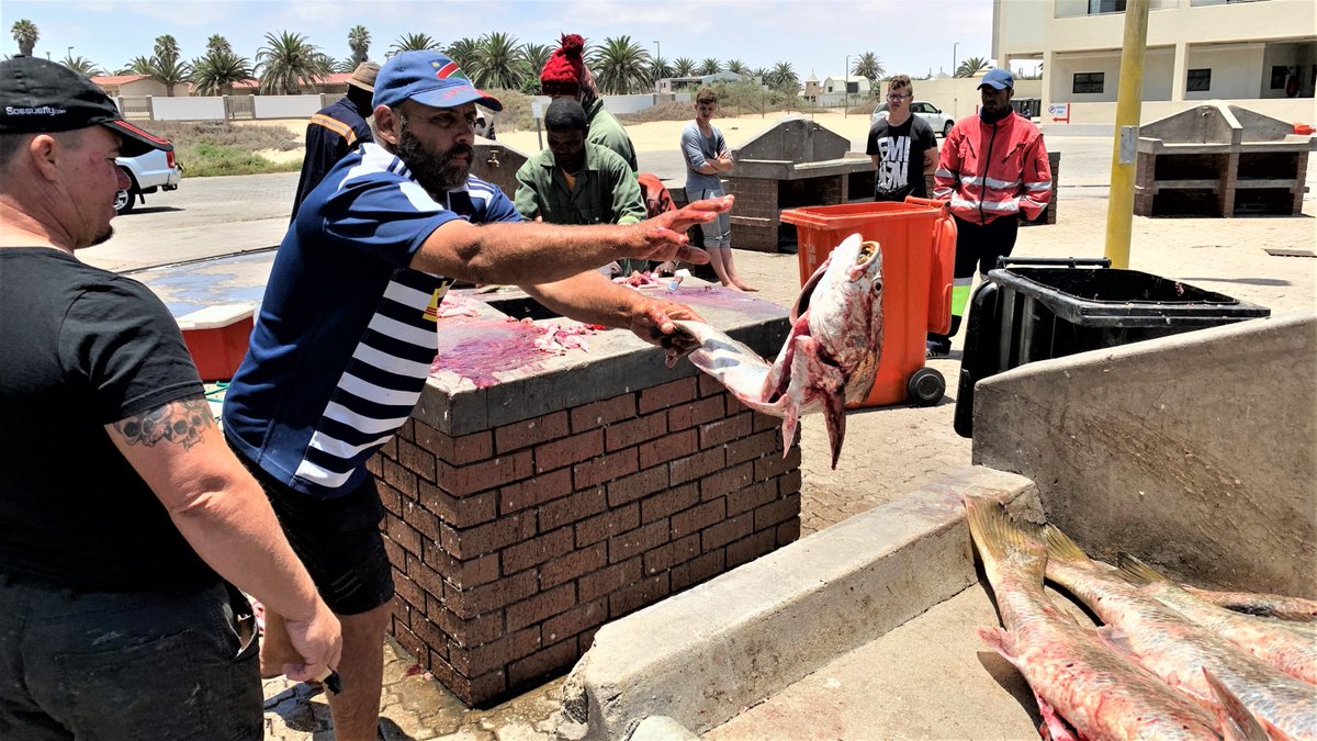 elenatravelnam's tweet photo. Swakopmund fish cleaning
#Dronesberg #SwakopmundFish #Africa #DroneNamibia #NamibwebCom #ExploringNamibiaTV #WestCoastNamibia #Dorob #YouTubeVideoNamibia #BlogNamibia #FishermenNamibia https://t.co/vaE5YLhFxq