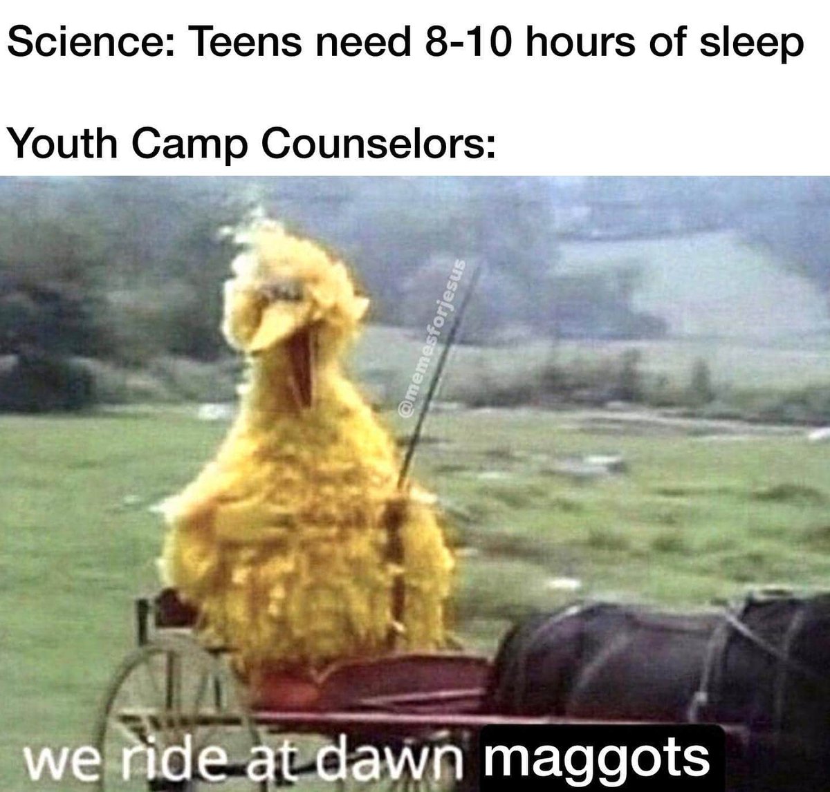 BSAScoutProblem's tweet image. 