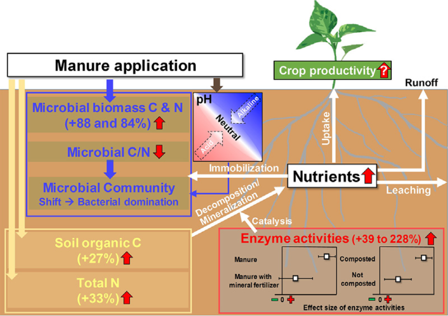 ykuzyakov's tweet photo. Impact of #manure on #soil #biochemistry: A #GlobalSynthesis
 
@STOTEN_journal     @ElsevierConnect
Share Link:  https://t.co/8gOaNEqfwv

https://t.co/2uprzprHRz https://t.co/gviM82EVHa