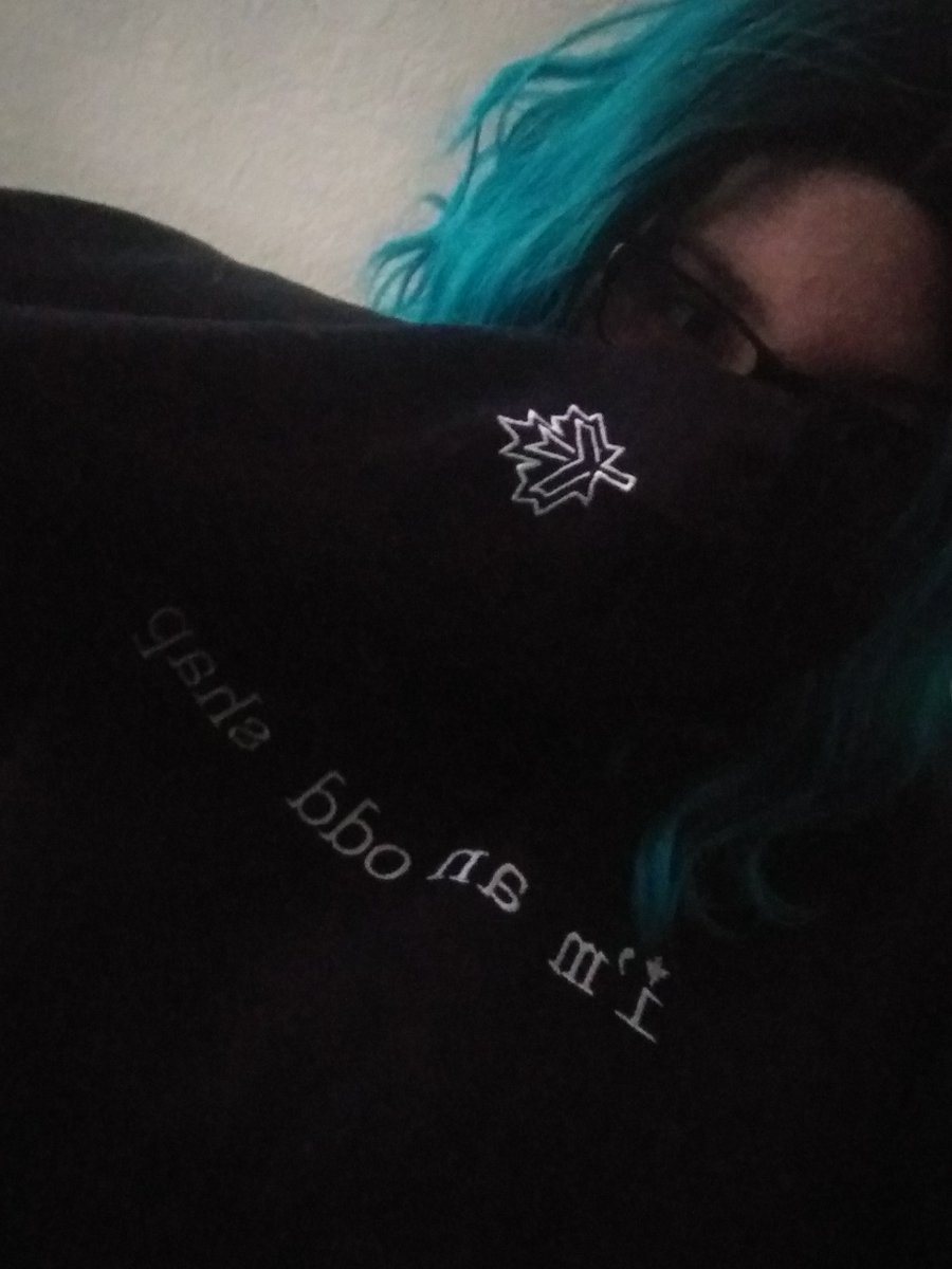 AwkwardMenace's tweet photo. @miamapless. Just got my hoodie and I lovee it 💕💕 https://t.co/qvcDKRlE71