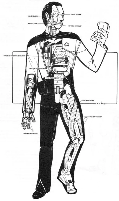 I suddenly wondered, as you do, what Data's insides looked like. So I looked around a bit and there you go. 