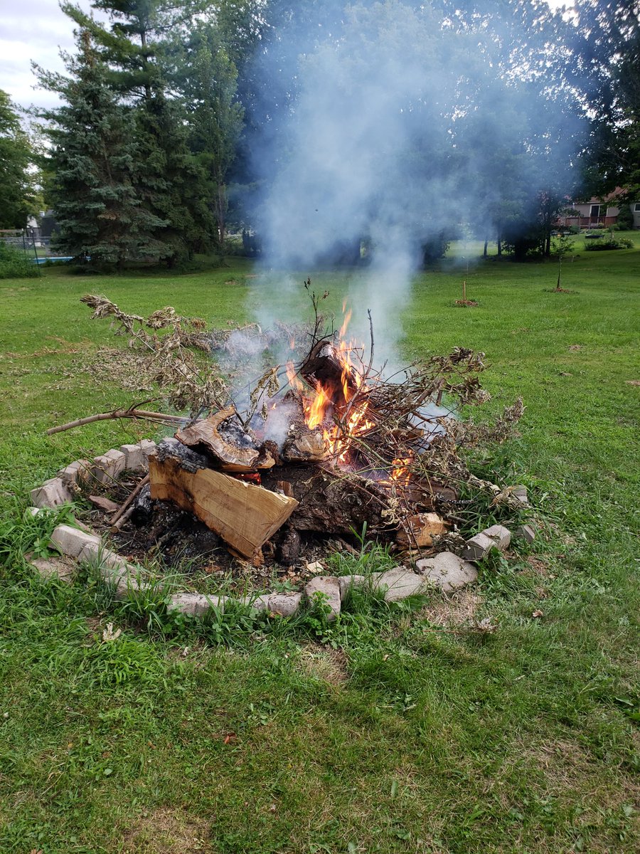 Midnightsmoke1's tweet image. Bonfire with @Reluctantbutter @Greenfairy001 @PantslessAaron @HH_Empire @eric56799907 and listening to @ThatKevinSmith and @RalphGarman #HollywoodBabbleOn