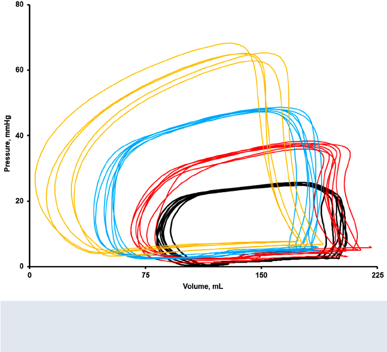 Privilege to be involved with this series of projects describing right ventricular function during exercise - RV PV loops, you just can never see enough. 
 <a href="/uniinnsbruck/">@uniinnsbruck@social.uibk.ac.at</a> <a href="/CUAnschutz/">University of Colorado Anschutz</a> <a href="/IswResearch/">ISW_Research</a> <a href="/LEEP_UIBK/">Laboratory for Environmental & Exercise Physiology</a>