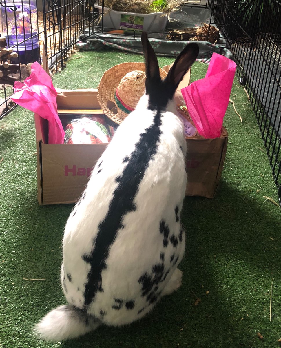 July Box! <a href="/HappyBunnyClub/">Happy Bunny Club</a> #HappyBunnyClub