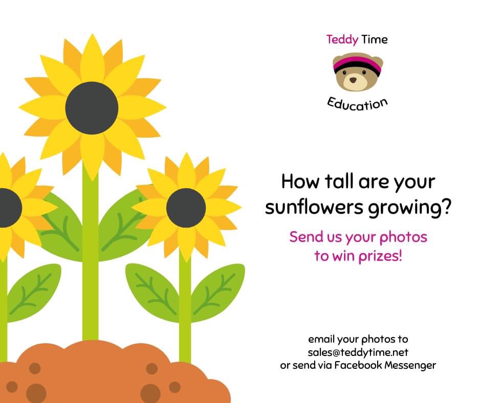 teddytimenet's tweet photo. If your little ones are taking part in our sunflower competition, don't forget to send us photos of how they're progressing! 🌻

Please send photos/drawings via Facebook Messenger or to sales@teddytime.net to be featured on our page!

FREE RESOURCE > https://t.co/4qQogbmxlZ https://t.co/m9KljfdfeE