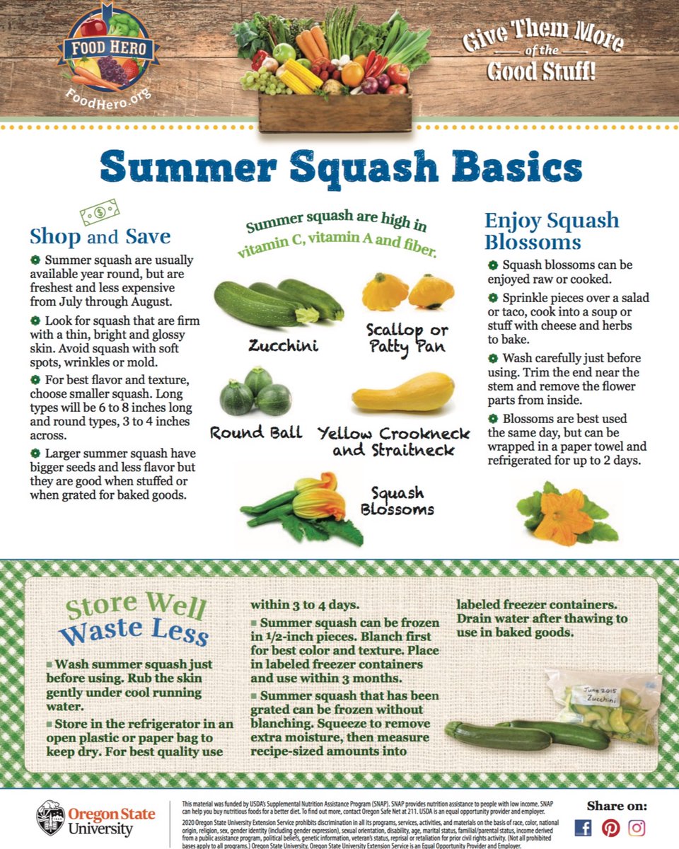 BeAFoodHero's tweet photo. This month Food Hero is celebrating Summer Squash! Stay tuned for recipes, activities and more! #zucchini #summersquash #featuredfood https://t.co/01iKAcsrmu @OregonStateExt https://t.co/Tstb70WTBi