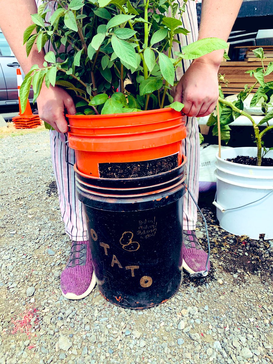 HousingAndParks's tweet photo. There’s so many people in Seattle doing so much to take care of each other. #TheWaystation #Seattle #CommunituyCare
Excited to share some of Share The Cities PPE from @KingCountyWA with The Waystation folks https://t.co/rULlGFjSHe
