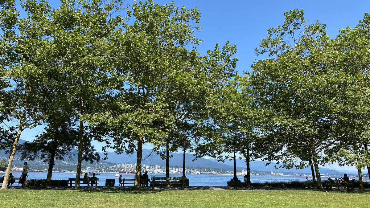 RyanVoutilainen's tweet photo. #Vancouver #weather perfection... doesn’t get much better than this and only blocks from home! ☀️😎 

@weathernetwork @miawgordon #ShareYourWeather #YVRwx #BCwx #CoalHarbour #citycentre #WestCoast #BCDay #longweekend #nothinbutsun #weekendweather #HarbourGreenPark https://t.co/eAKmFcIRRW