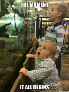 thread of fishing memes: