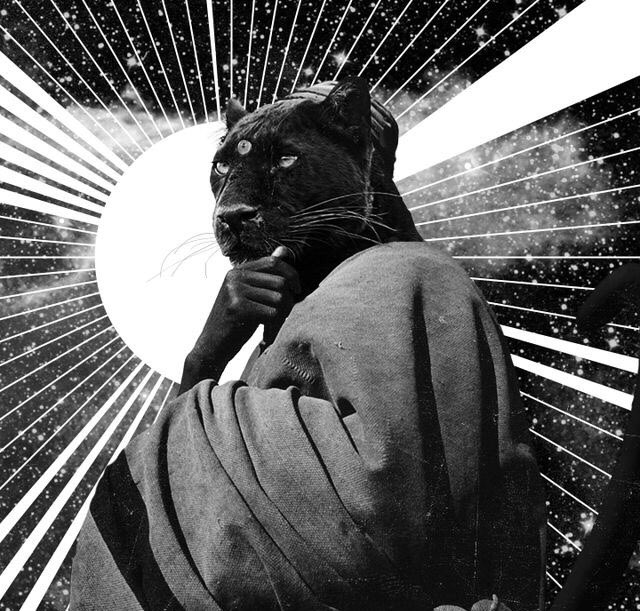 Zever BlackBull tweet media