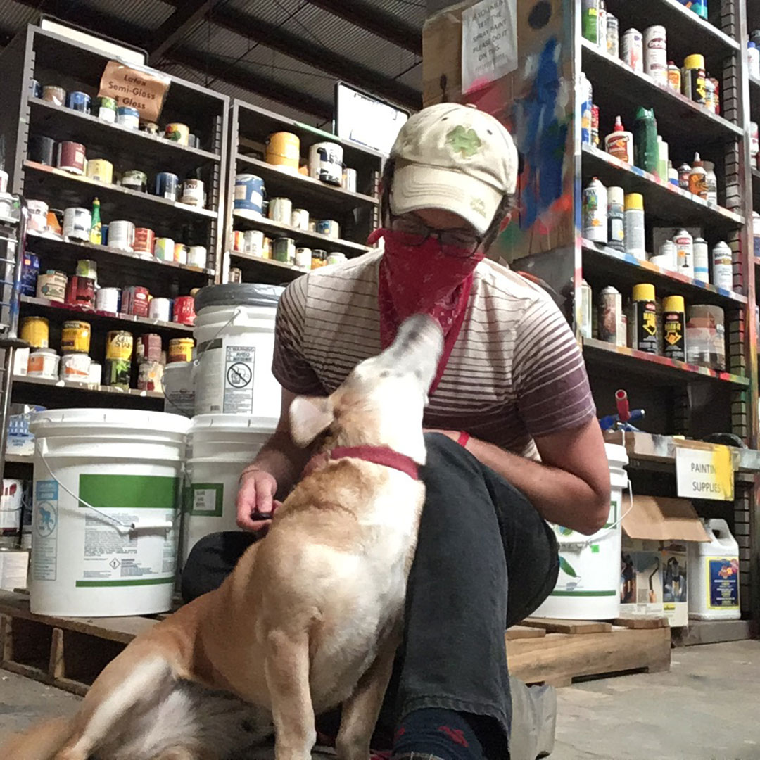 CommForklift's tweet photo. Happy #DogustFirst, the universal birthday for #shelterdogs! Today we celebrate the #canines of #CommunityForklift. Here’s Susan who works with Scott in communications and expertly communicates when she needs treats or belly rub (pretty much always). @HumaneRescue @CityDogsRescue https://t.co/cWUo1m2apO