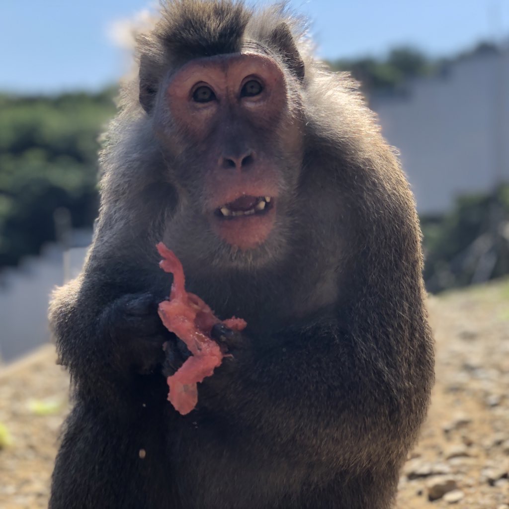 EeXnbd8UcAEcaSE.jpg?format=jpg