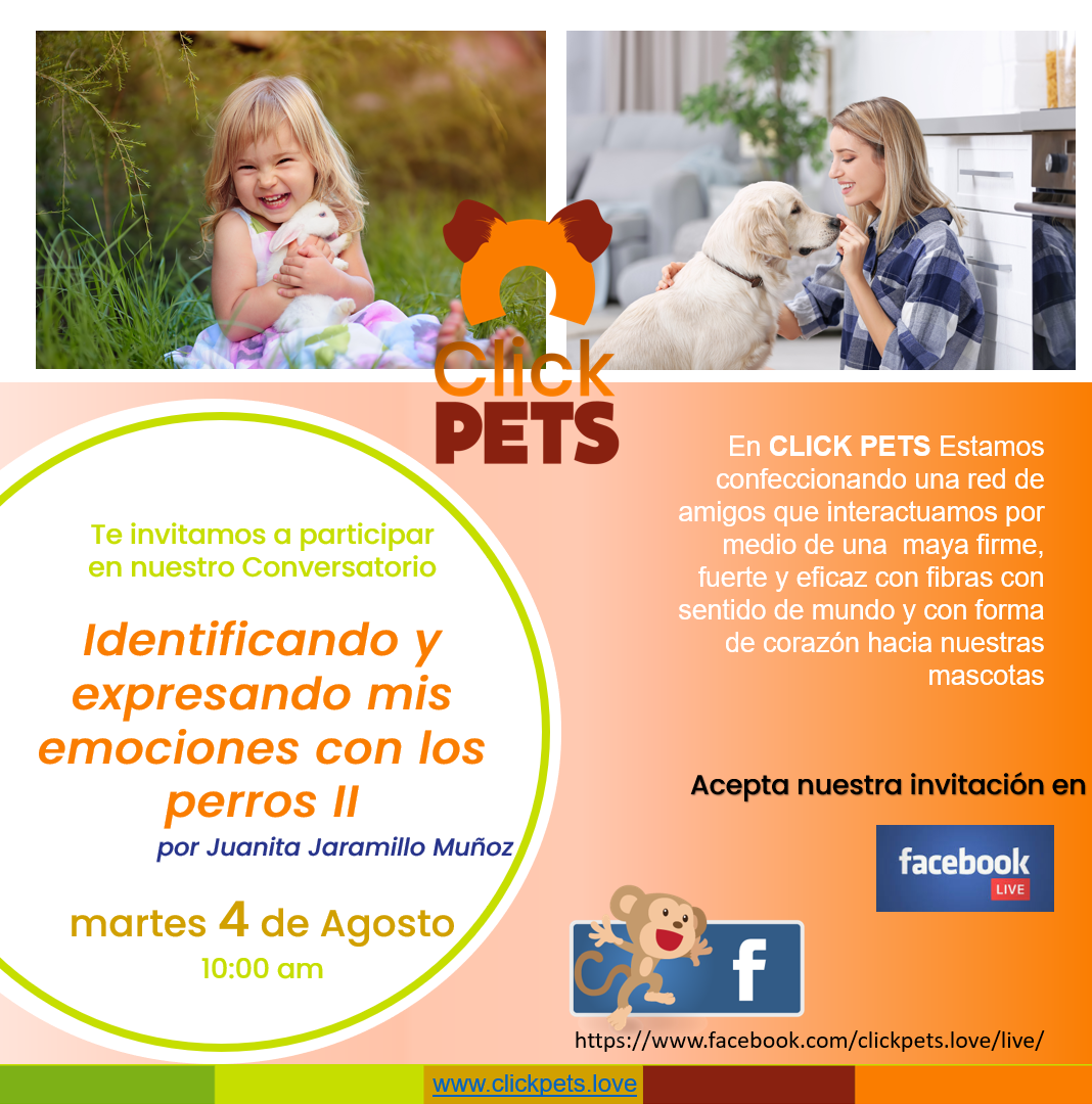 ClickPets2 tweet picture