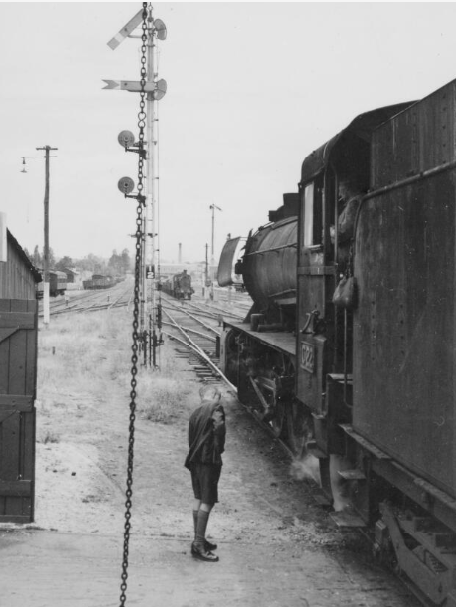 Locomotive C22 [on] down passenger [train] at Castlemaine, December 1948] [picture] / R. B. McMillan https://nla.gov.au/nla.obj-155038426/view