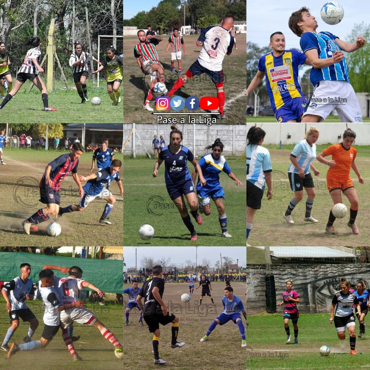 pasealaliga's tweet photo. #PreguntaDebate 🎙
A raíz de los casos que se dieron en la Liga esta semana, ¿Se puede pensar la vuelta del fútbol para este año o hay que dejarlo para el 2021? https://t.co/L2abLbYQIh
