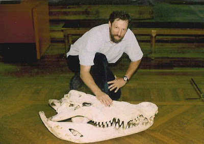 First we have the largest Saltwater crocodile skull on record. A specimen from Cambodia killed in the early 1800s. It had a head length of 76 cm. Compare that to Lolong's head length of 70 cm and the Fly River specimen's 72 cm, then we have a pretty big animal.