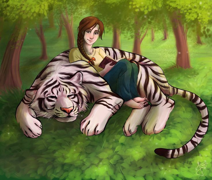 Книга проклятие тигра. Хоук тигр. Черный тигр кишан. Ездовой тигр. Тигр кишан.