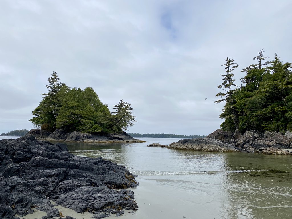 Love this view! #VancouverIsland #beautifulbritishcolumbia #mycrystalcove #dailyviewbc #hellobc