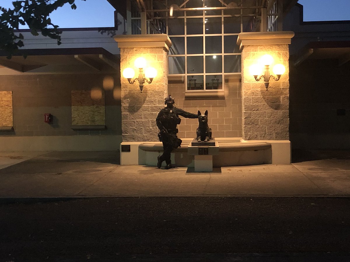 A few more cops up front now. Also one petting a dog statue.  #blacklivesmatter      #protest  #pdx  #Portland  #Oregon  #BLM  #acab  #PortlandProtests  #PDXprotests  #PortlandStrong