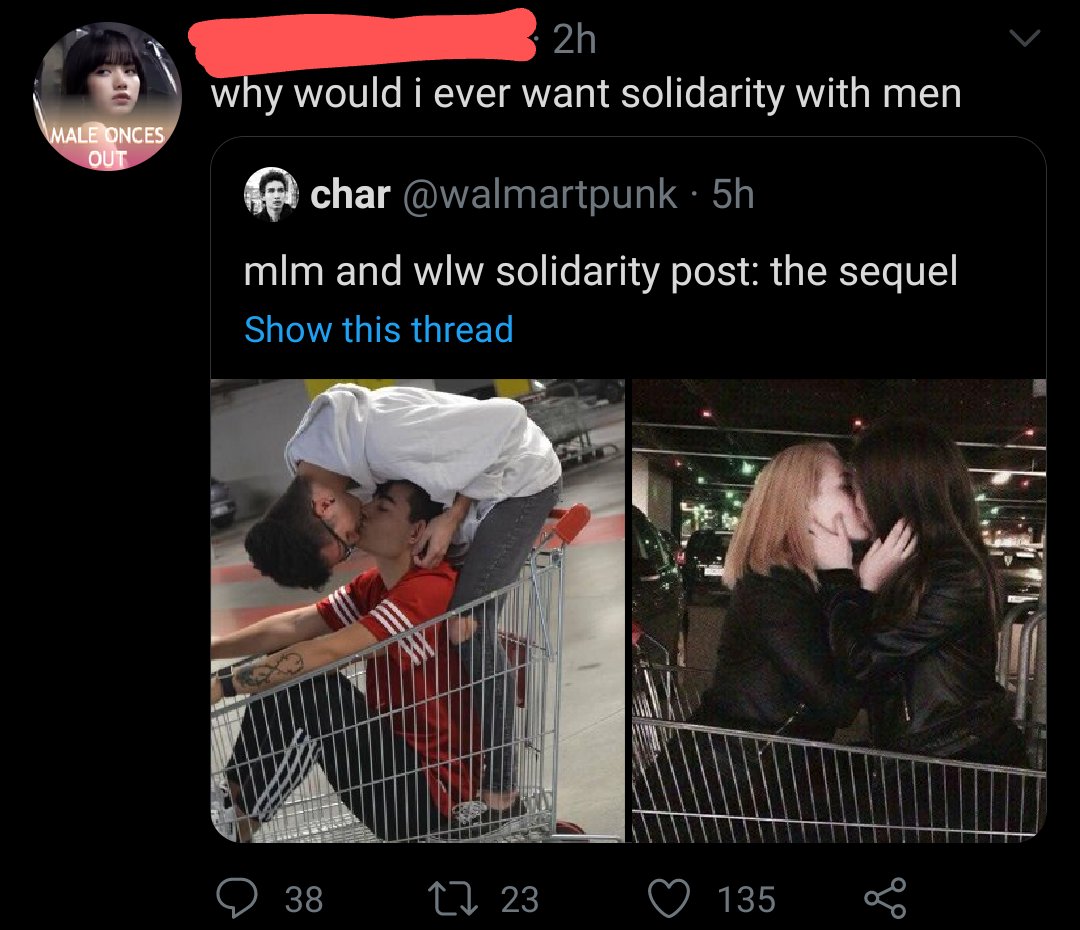So, if you go and look at the QRTs on this tweet and the other mlm/wlw solidarity tweet, you'll find a fuck ton of lesbians and queer identifying fems, as well as NB people, saying they don't want solidarity with men, calling gay men vile/disgusting/f*gs/etc...